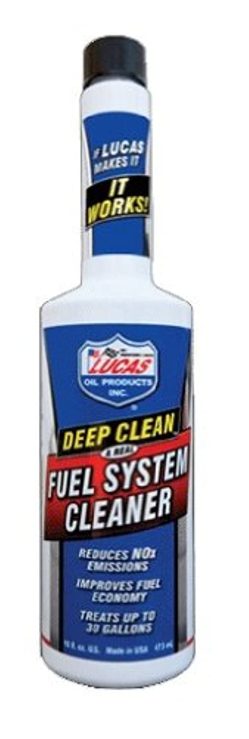 16 oz. Fuel System Cleaner Case of 12 R284