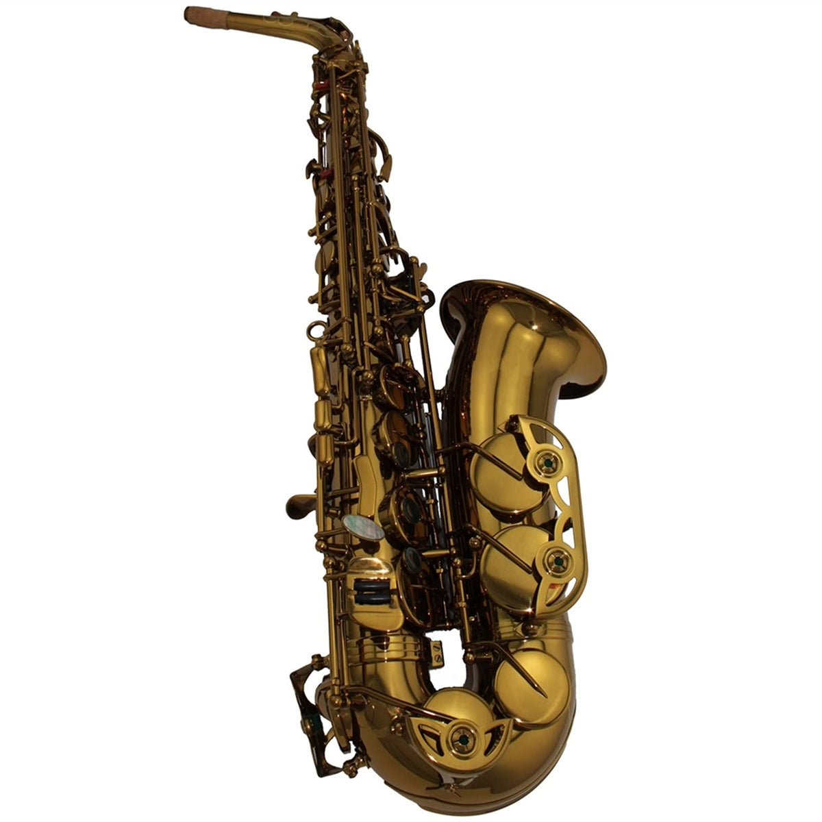 Alto Saxophone Set D1213