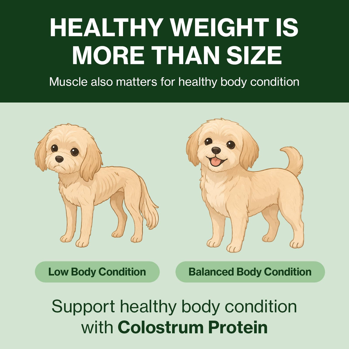 Colostrum Whey Protein Dog Supplement 30 Tubes H357812
