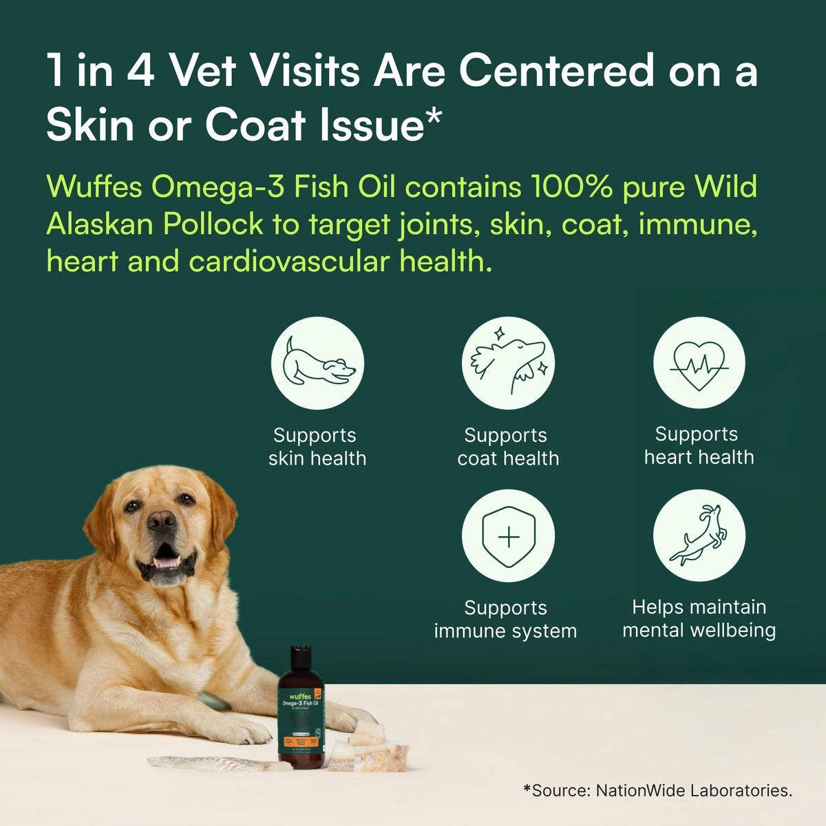 Omega-3 Fish Oil for Dogs, 16 oz Wild Alaskan Pollock Oil Q448