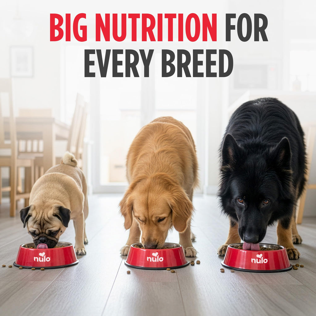 Salmon & Peas Grain Free Dry Dog Food Q13599