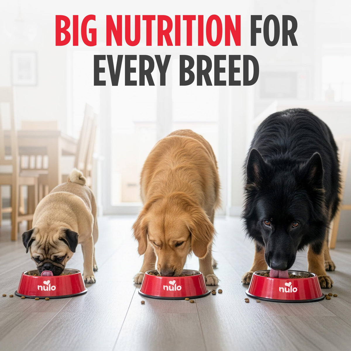 Salmon & Peas Grain Free Dry Dog Food Q13599