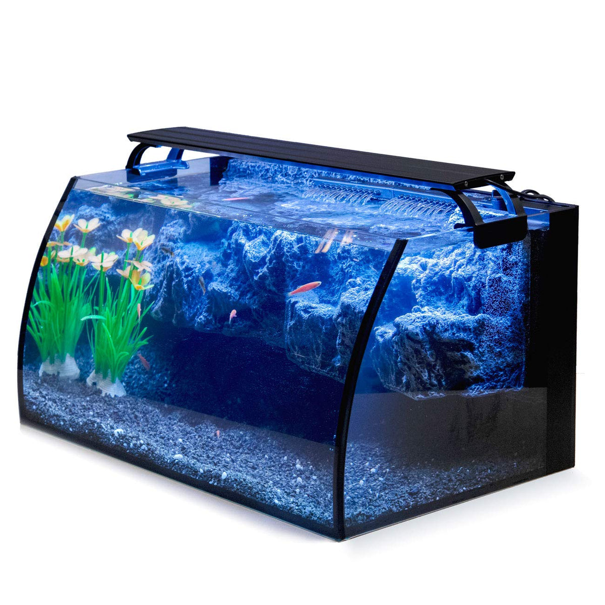 8 Gallon LED Glass Aquarium Kit with 3D Rockery Background D365859