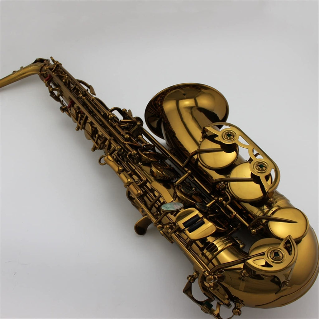 Alto Saxophone Set D1213
