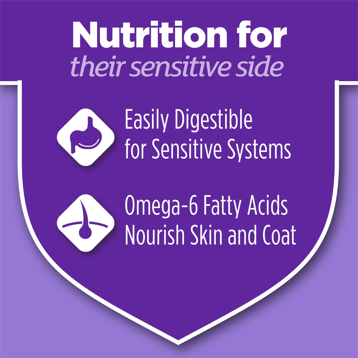 Sensitive Stomach & Skin Dry Cat Food 13 lb Bag I379706