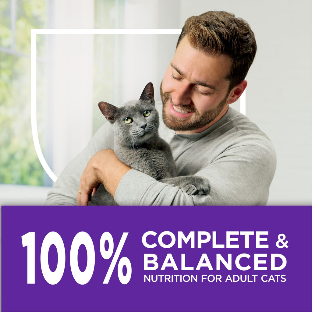 Sensitive Stomach & Skin Dry Cat Food 13 lb Bag I379706