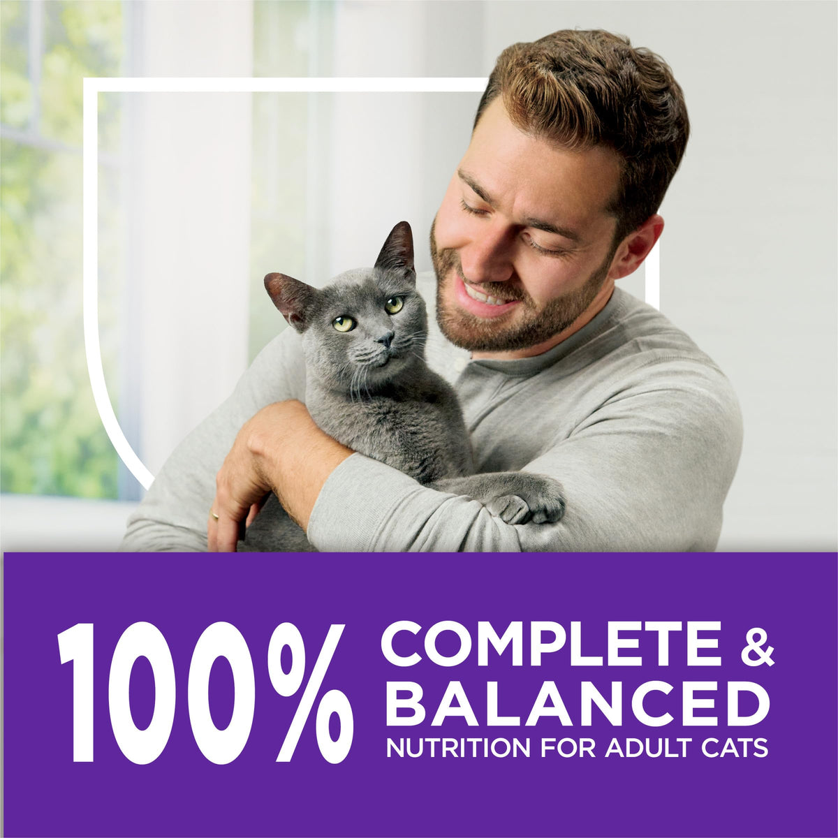 Sensitive Stomach & Skin Dry Cat Food 13 lb Bag I379706