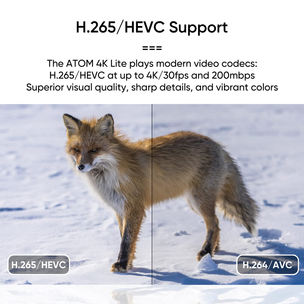 4K Media Player for USB Drives and SD Cards C620
