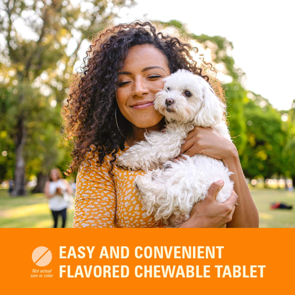 7 Way DeWormer for Small Dogs 6-25 lbs (6 Count) + Flea and Tick Prevention for Small Dogs 4-10 lbs (4 Count) Bundle R573