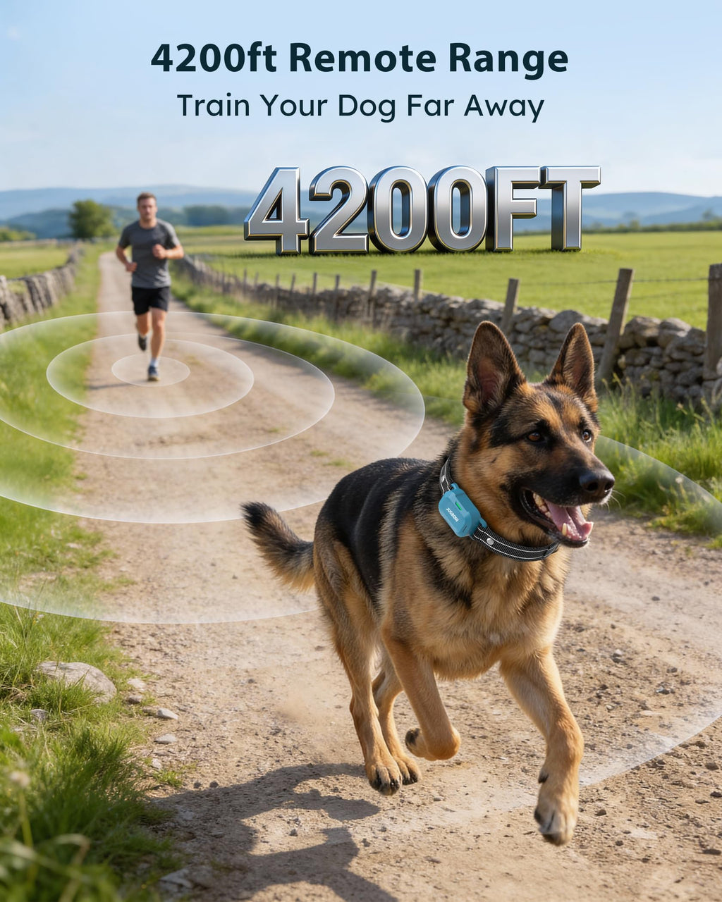 Dog Training Collar with Remote O690