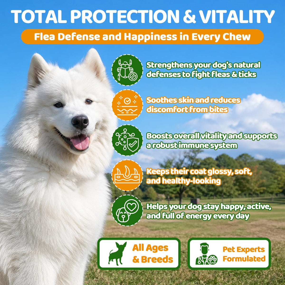 Flea and Tick Prevention for Dogs Chewables with Multivitamins, 500ct W21853