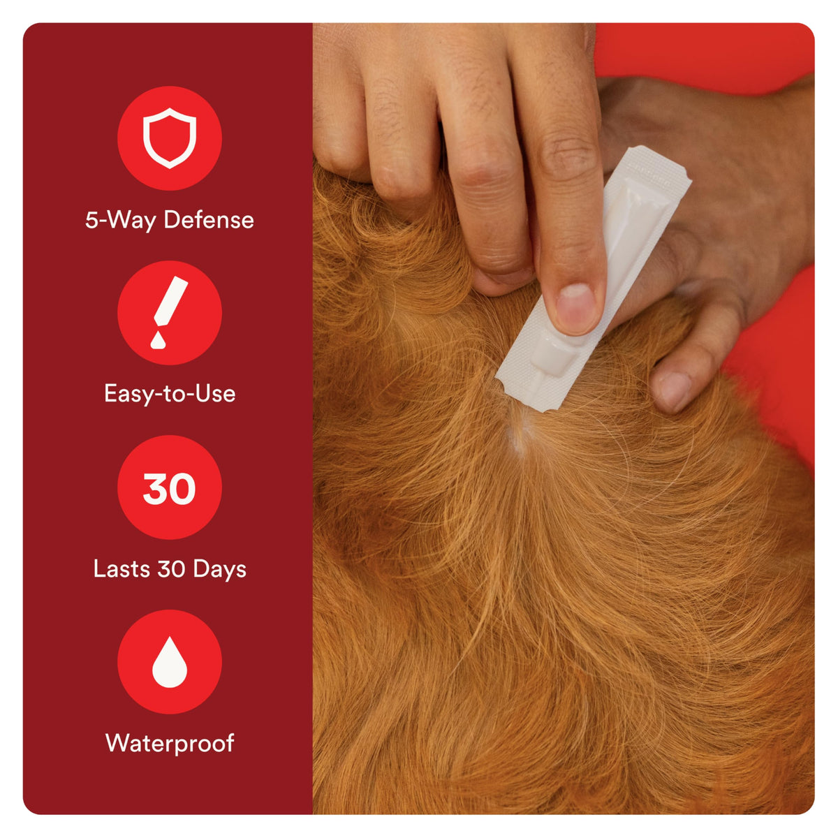 7 Way DeWormer for Small Dogs 6-25 lbs (6 Count) + Flea and Tick Prevention for Small Dogs 4-10 lbs (4 Count) Bundle R573