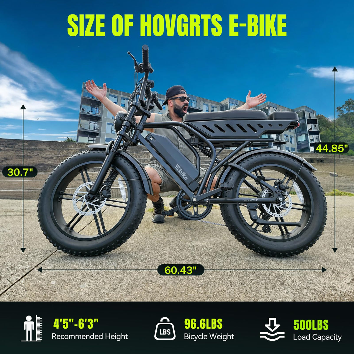 Electric Bike 48V 15Ah Battery 1500W Peak Motor 20 4.0 Fat Tire M50205