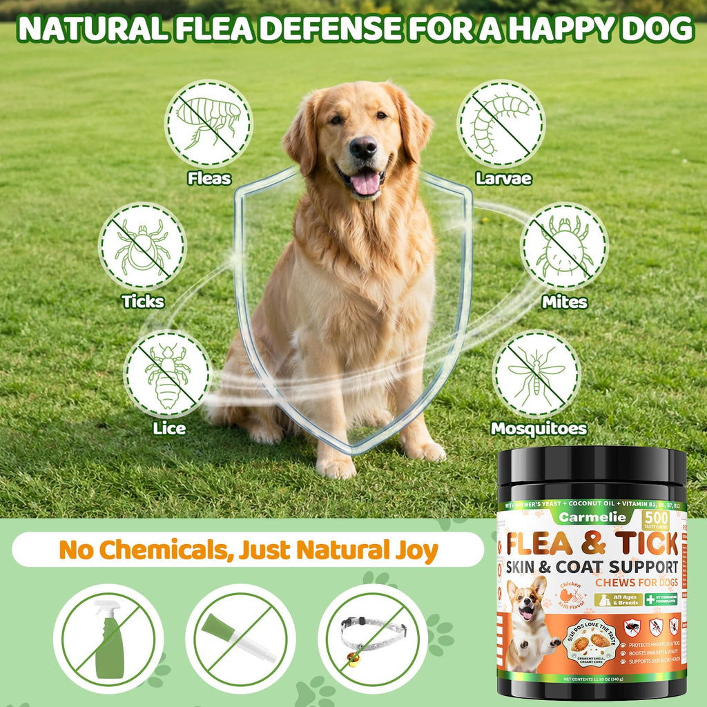 Flea and Tick Prevention for Dogs Chewables with Multivitamins, 500ct W21853