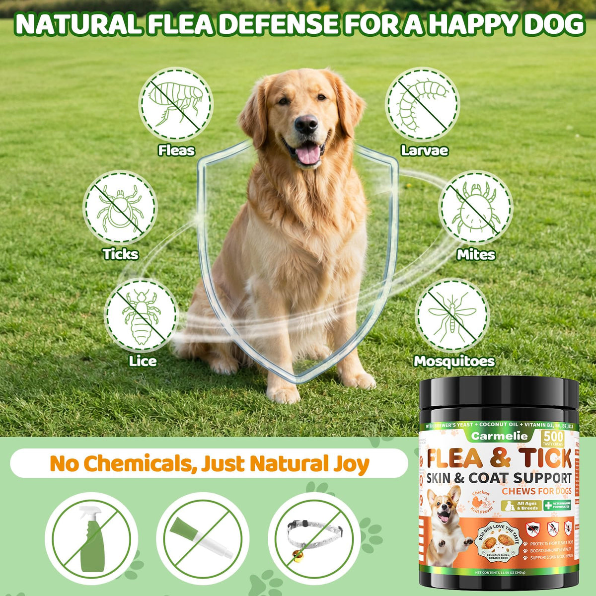 Flea and Tick Prevention for Dogs Chewables with Multivitamins, 500ct W21853