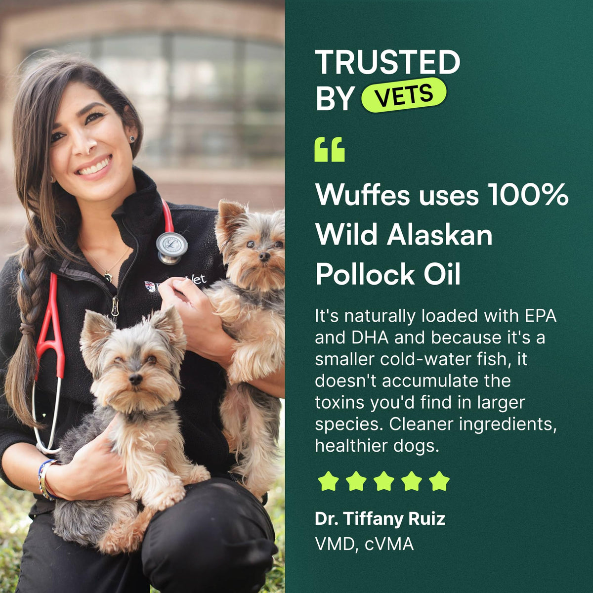 Omega-3 Fish Oil for Dogs, 16 oz Wild Alaskan Pollock Oil Q448