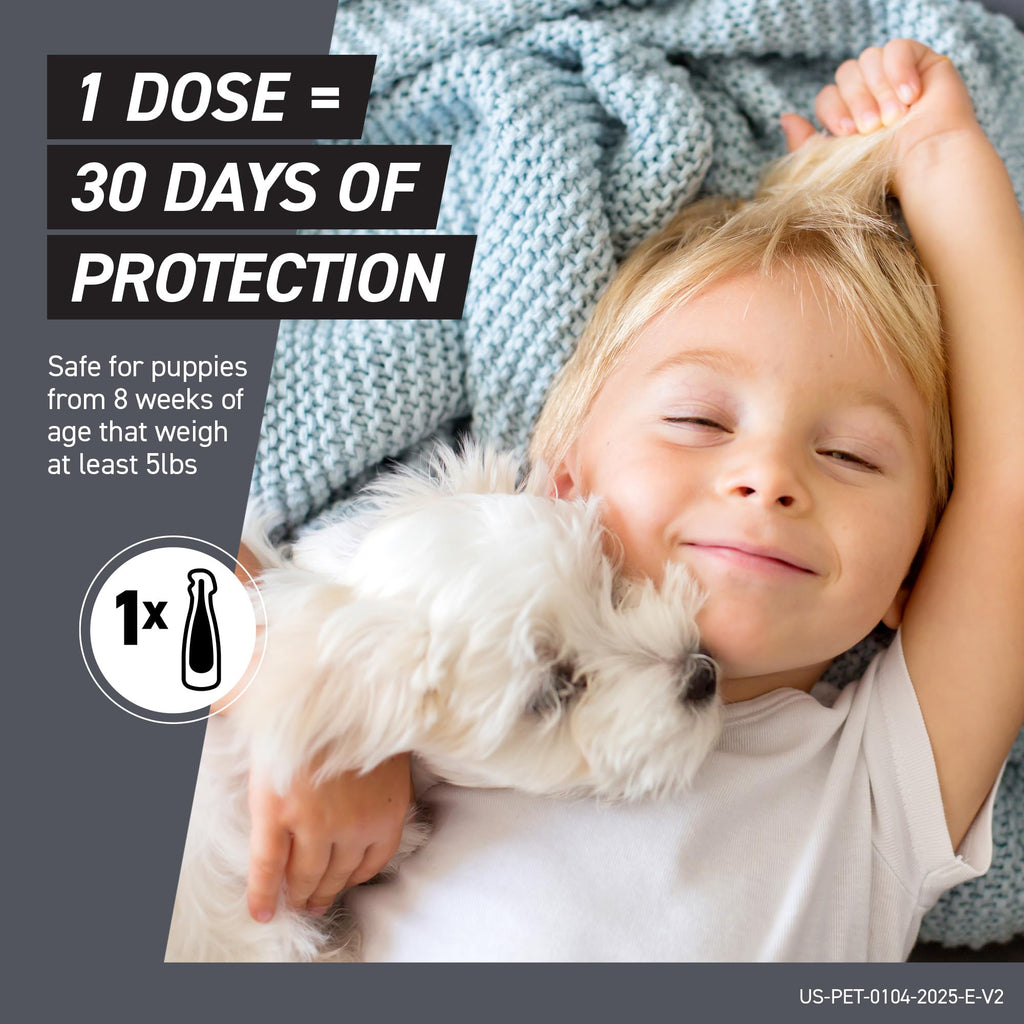 Flea & Tick Treatment for Large Dogs 41-80 lbs Count of 3 K589
