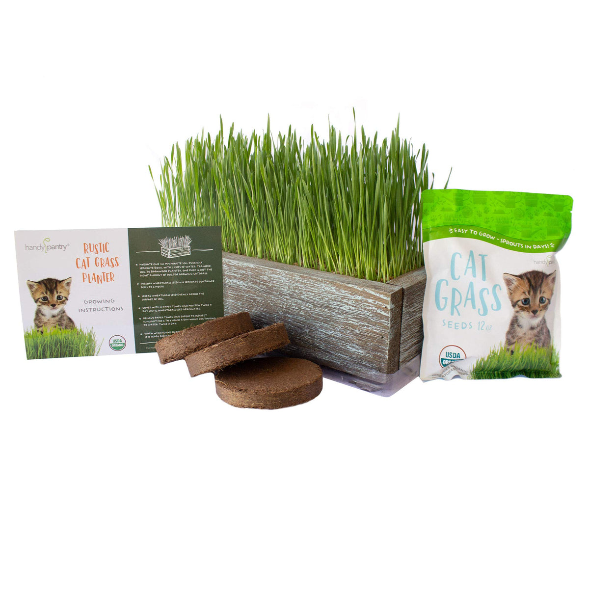 Organic Cat Grass Seeds Kit Q56674