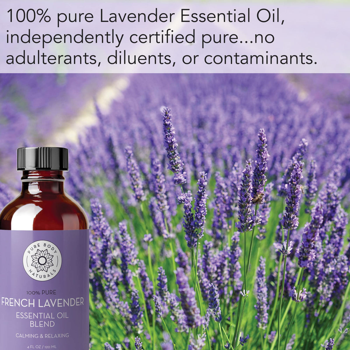 French Lavender Essential Oil 4 fl oz R74647