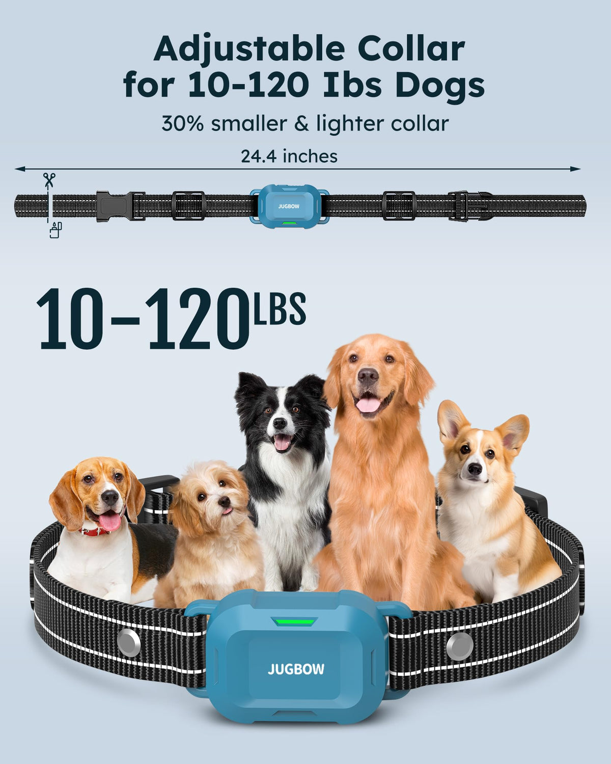 Dog Training Collar with Remote O690