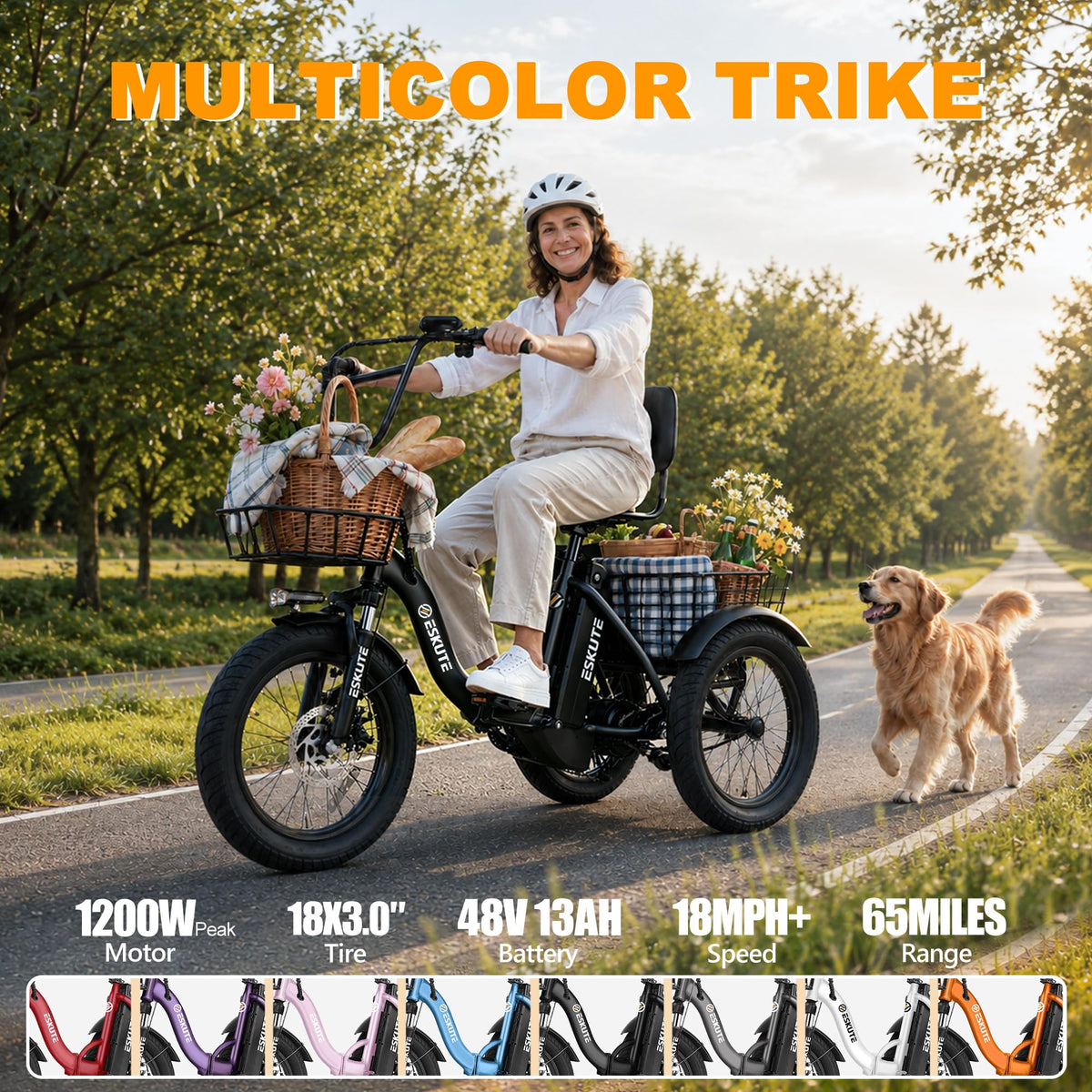 Electric Tricycle for Adults, 1200W Folding E-Trike, 48V 13Ah Battery, 18" Fat Tire 3-Wheel Electric Bike V22252